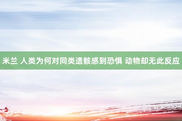 米兰 人类为何对同类遗骸感到恐惧 动物却无此反应