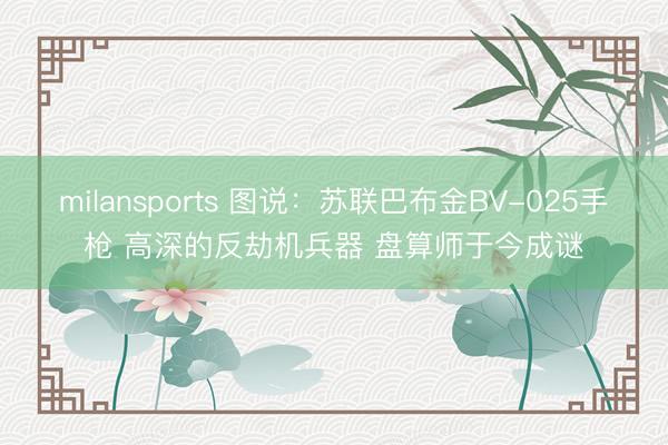 milansports 图说：苏联巴布金BV-025手枪 高深的反劫机兵器 盘算师于今成谜